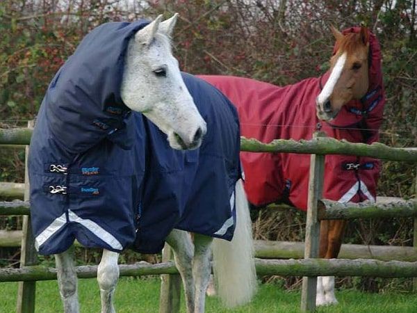 En Normandie : Equi Pressing nettoie vos couvertures de cheval, tapis de cheval